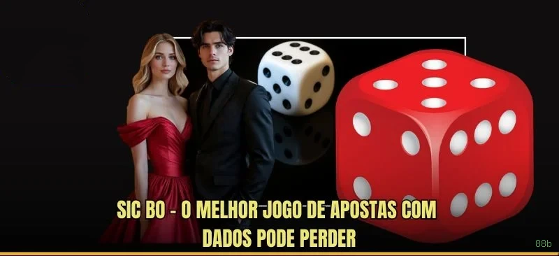 Formulário registro 88b